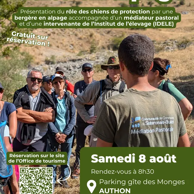 Médiation pastorale : visite en alpage