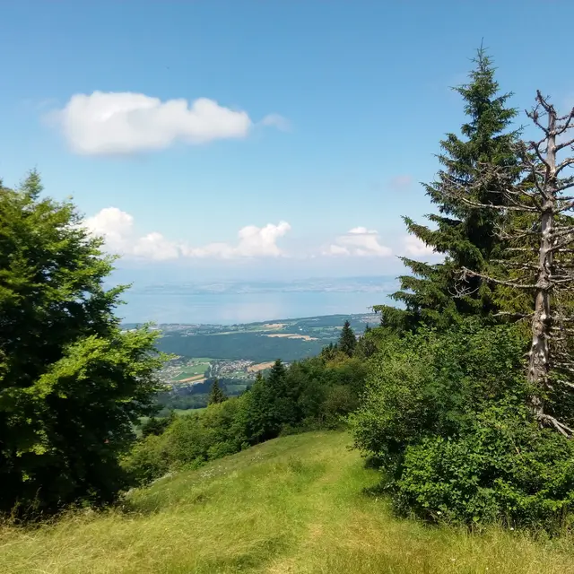 Air de départ parapente et delta des Hermones