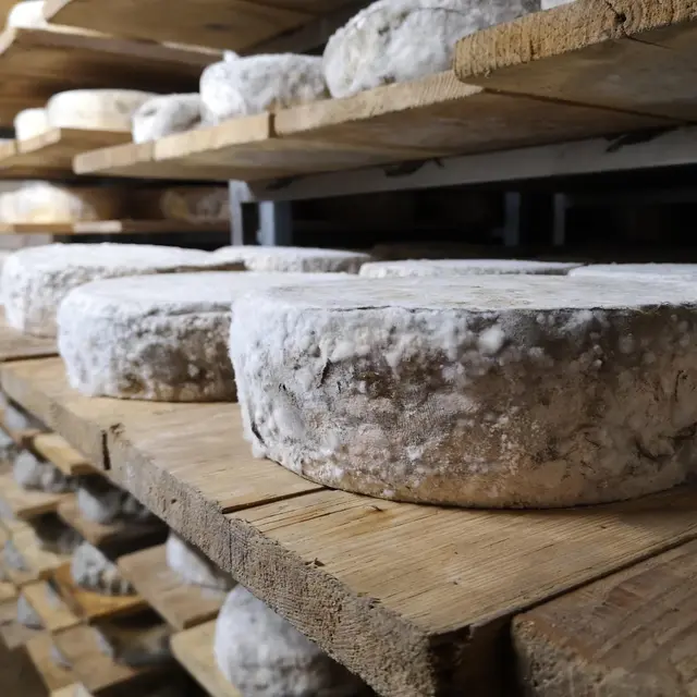 Fromage
