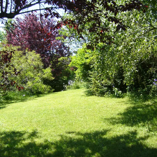 jardin