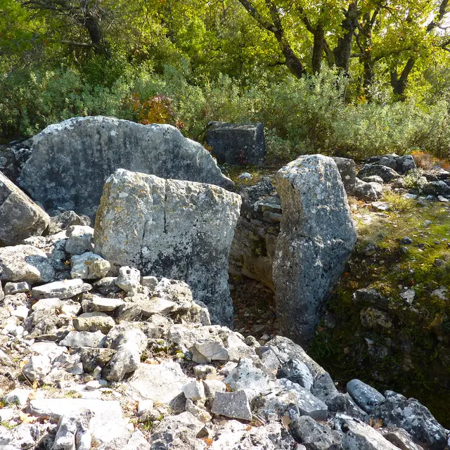 dolmen de Cobas