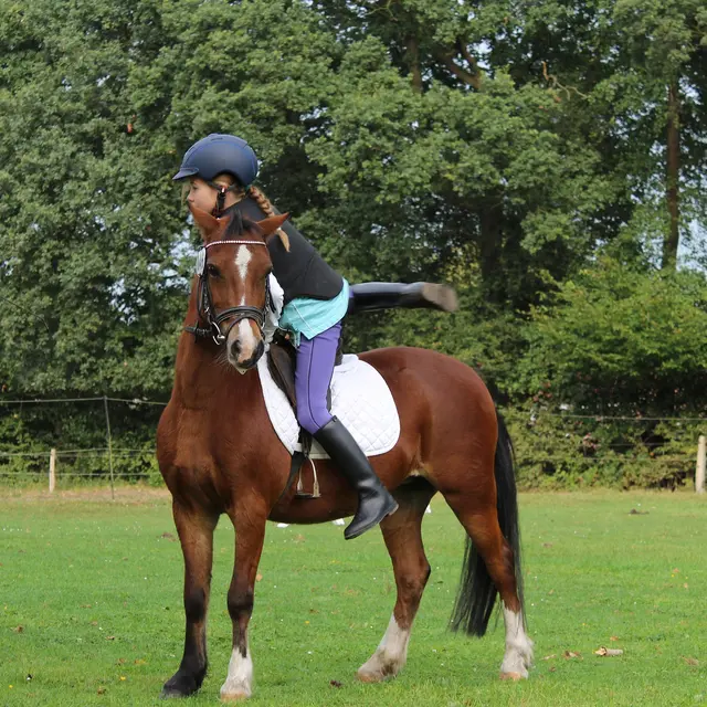 Balades à poney à la ferme du facteur enchantée_Hauterives