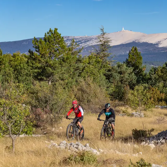 Egobike : accompagnateur vélo, VTT et ravitaillement