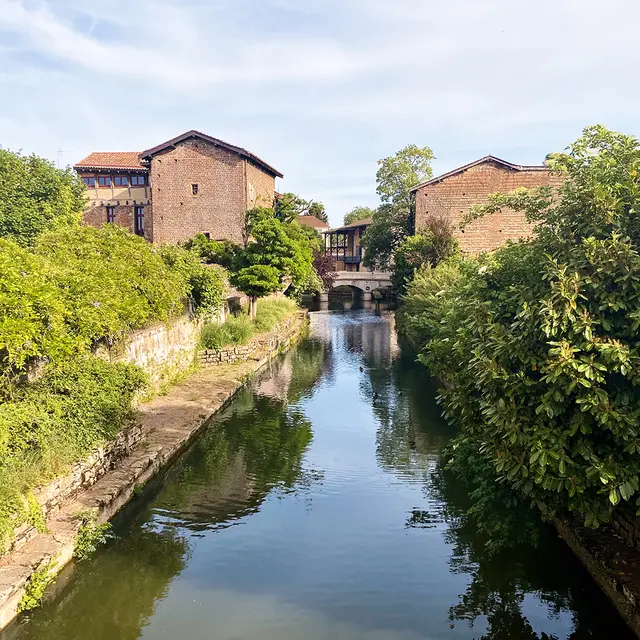 Excursion : Châtillon-sur-Chalaronne, petite Venise de la Dombes_Châtillon-sur-Chalaronne