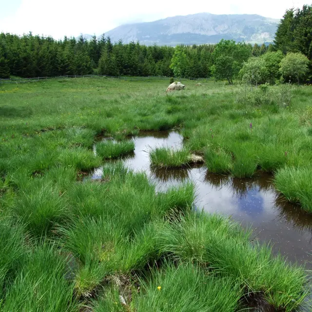 Sentier découverte des sagnes