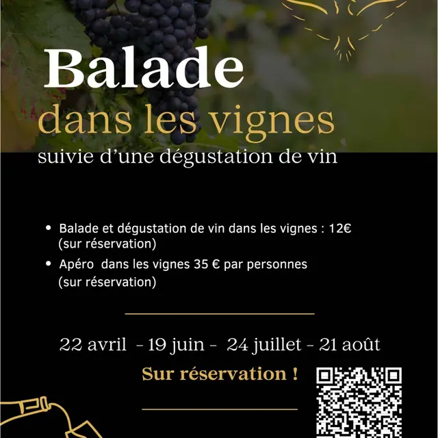 Apéro dans les vignes - Domaine Le Clot de Bénou Rasteau