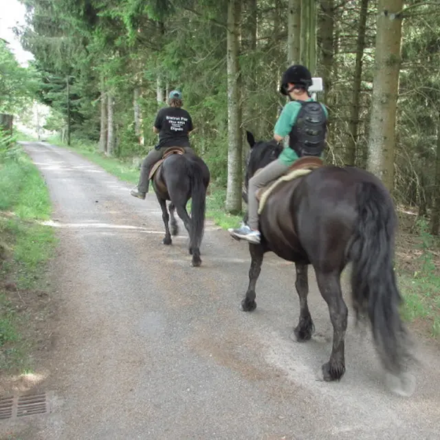 Les Paddocks