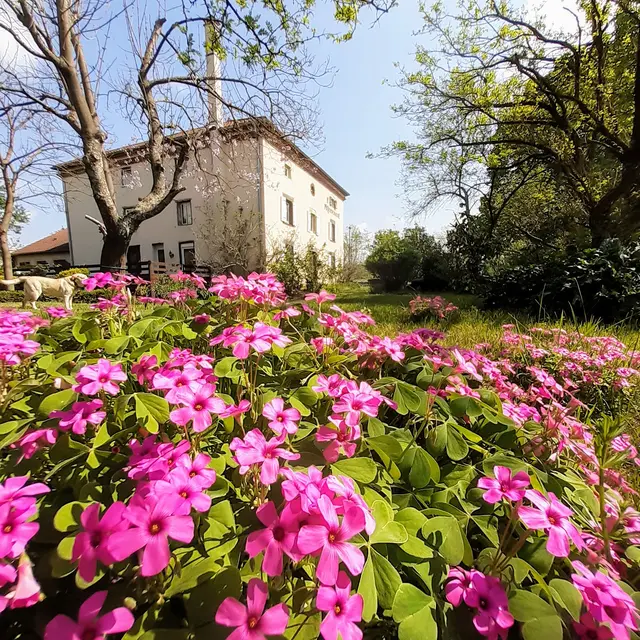 Bastide du 17 ème siècle ,  restaurant Le PiQuenchagne à saint yorre