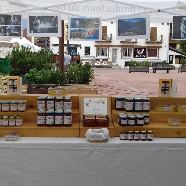 Brion apiculture_La Bollène-Vésubie