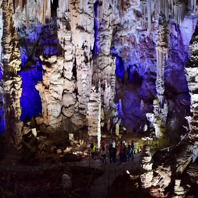 Visite guidée de la Grotte de la Salamandre