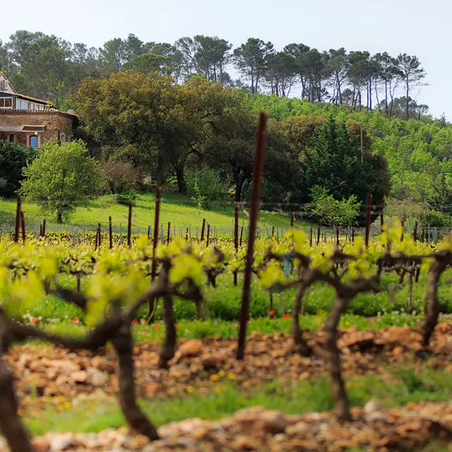 Domaine de Piqueroque_Flassans-sur-Issole