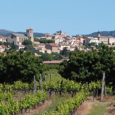 Circuit pédestre patrimoine Caromb - photo 1
