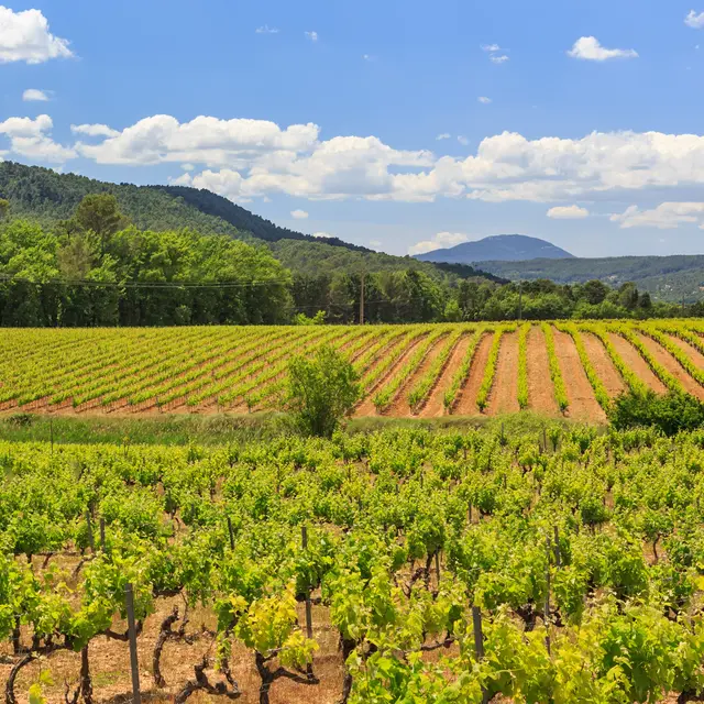 Château de Majoulière