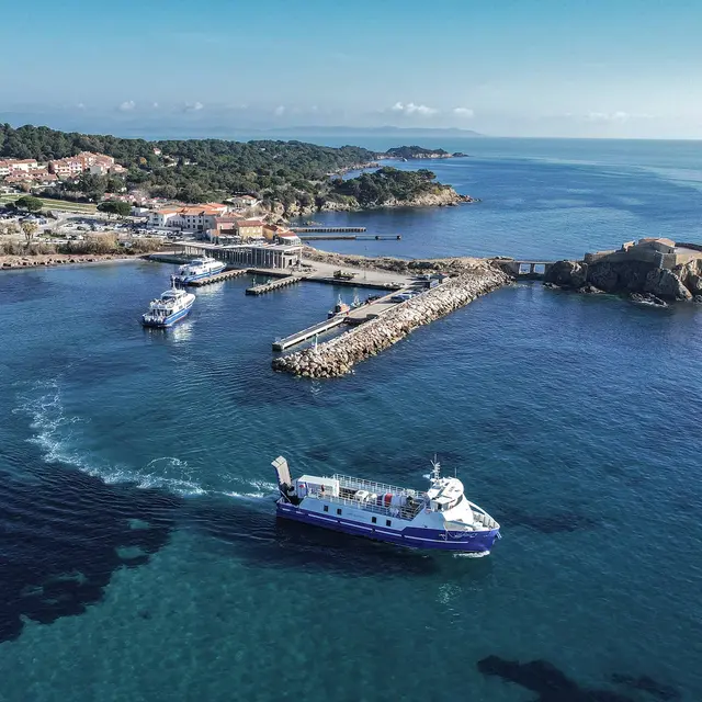 Compagnie maritime TLV_ Hyères