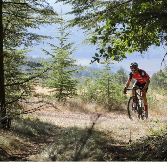 Gravel 10 LE ventoux face Nord