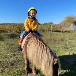 Balade à dos de poney, même pour les petits