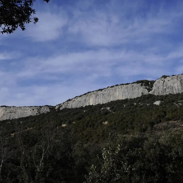 Vue