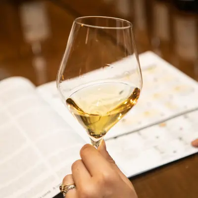 Atelier Découverte   Vin & Spécialités locales  - M.CHAPOUTIER_Tain-l'Hermitage