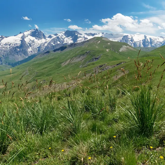 Vallon de la Buffe en direction du Gros Têt