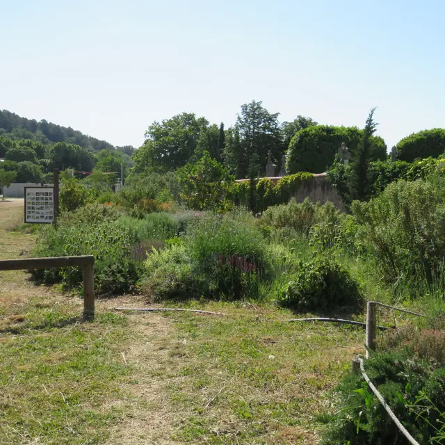 Le Jardin aux insectes - Espace Louis Giraud_La Roquebrussanne