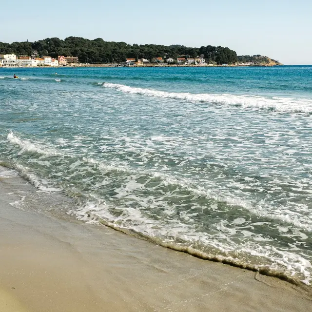 Bain du nouvel an_La Seyne-sur-Mer