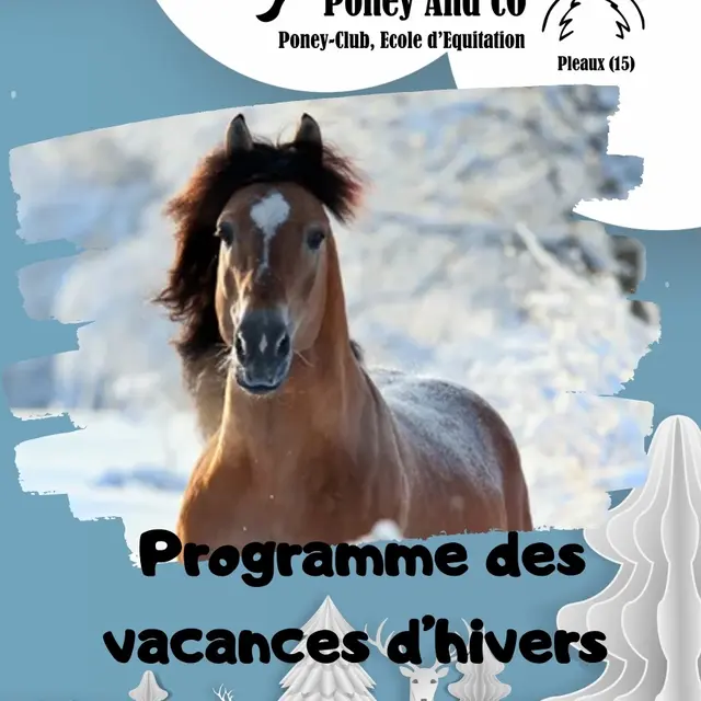 Vacances d'hiver avec Poney and Co_Pleaux