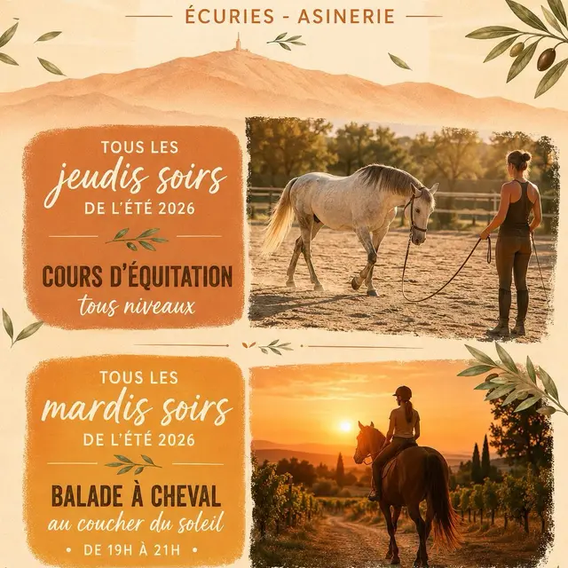 Cours d'équitation tous niveaux - Les sabots du limon_Mazan