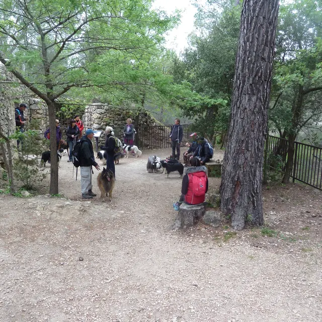 Randonnée avec son chien - Journée_Auriol