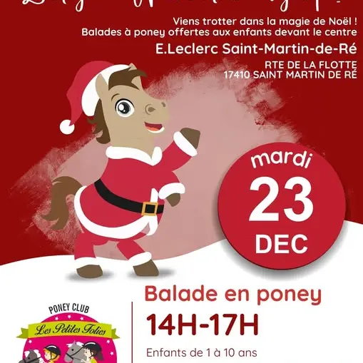 Balade en Poney_Saint-Martin-de-Ré