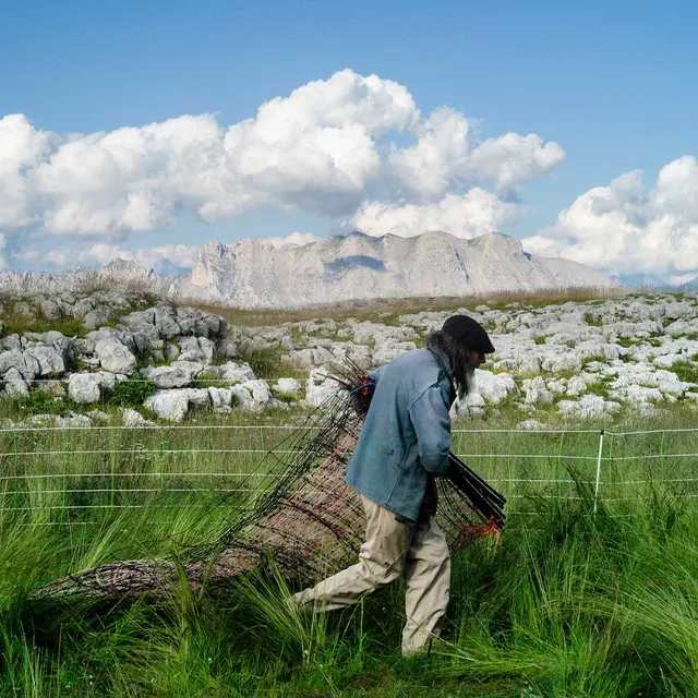 Aux abords du loups Franck Pourcel_Mane