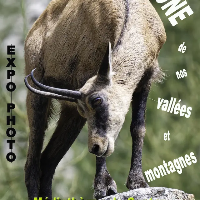 Exposition photo 