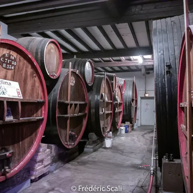 Distillerie Kario
