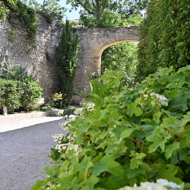 Jardin des Carmes_Avignon