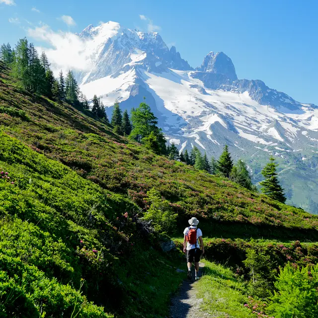 Randonnée du Péclerey_Argentière