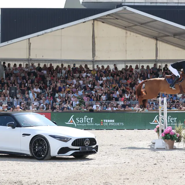 Cheval + cavalier saut d'obstacles