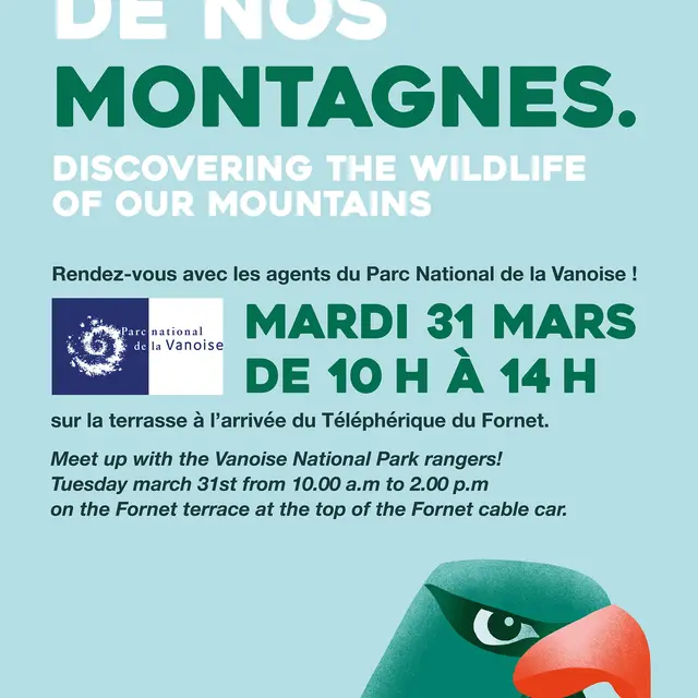 Affiche découverte de la faune de nos montagnes
