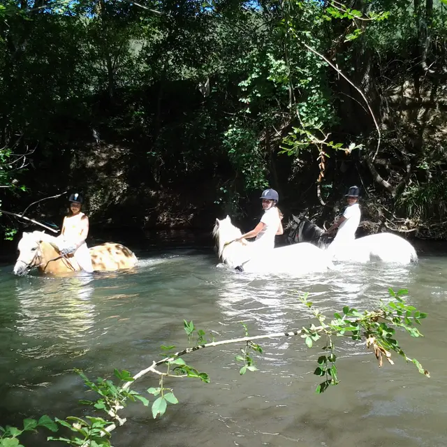 Ecuries St Christophe - Brignoles