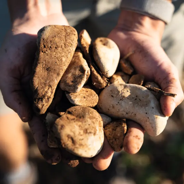 Visite du vignoble et de la cave - Domaine Gramiller_Rasteau