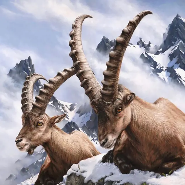 Exposition de peinture. Henri Girin._Taninges