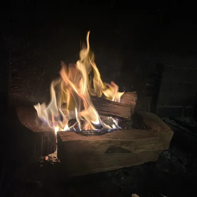 Feu de bois