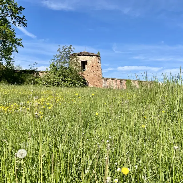 Remparts de Châtillon-sur-Chalaronne