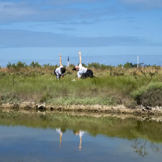 Yoga dans les marais près d'Ars-en-Ré