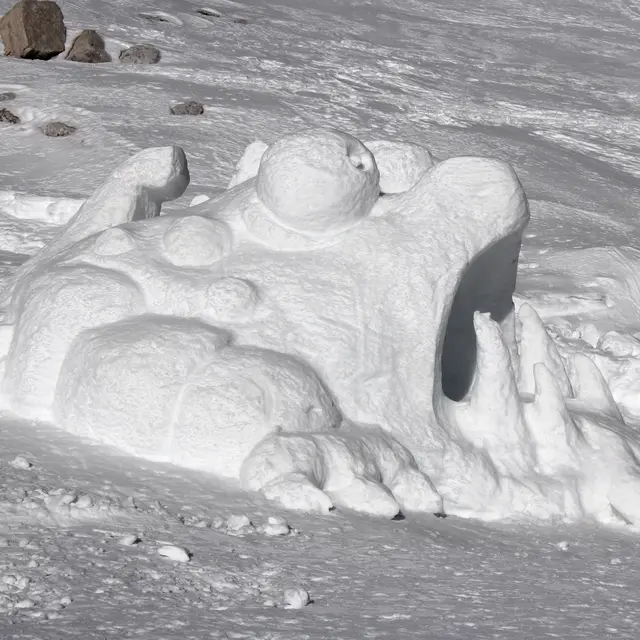 Sculpture sur neige - Semaine Polaire_La Toussuire