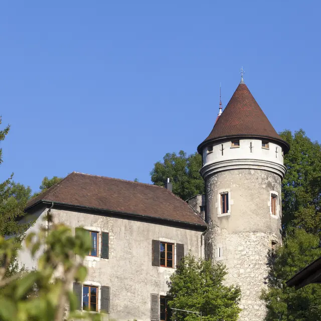 Journées Européennes du Patrimoine au château de Mussel_Valserhône