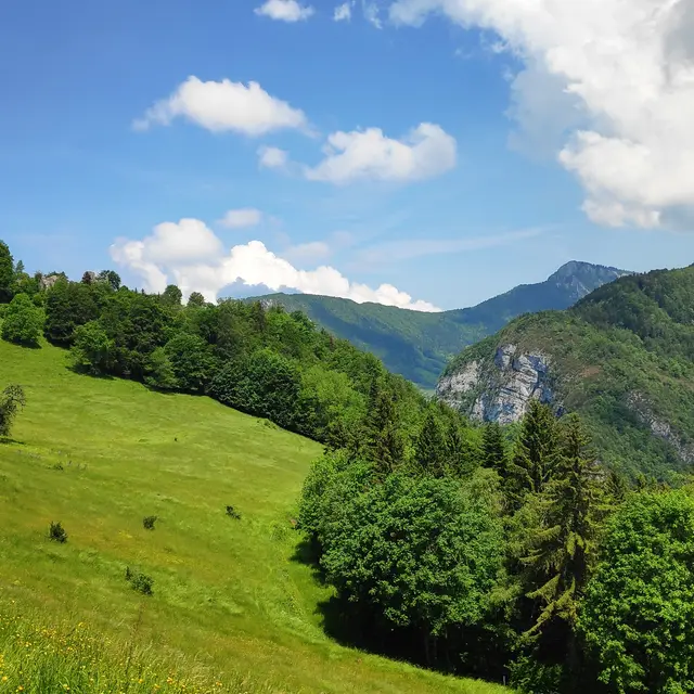 Randonnée sportive - 1/2 journée_Entremont-le-Vieux