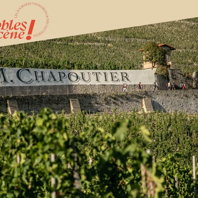 Visite des vignes & dégustation - Maison M. CHAPOUTIER_Tain-l'Hermitage