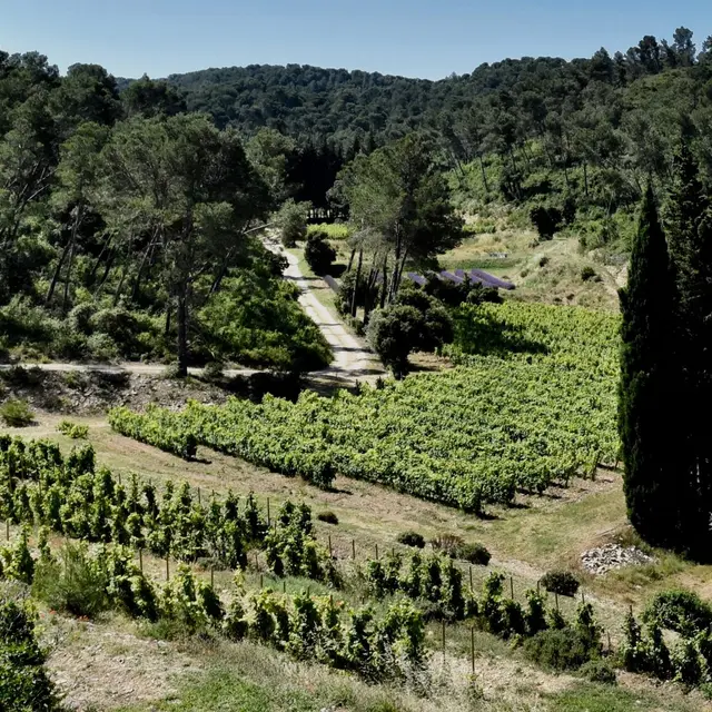Domaine Mas de Bret_Saint-Étienne-du-Grès