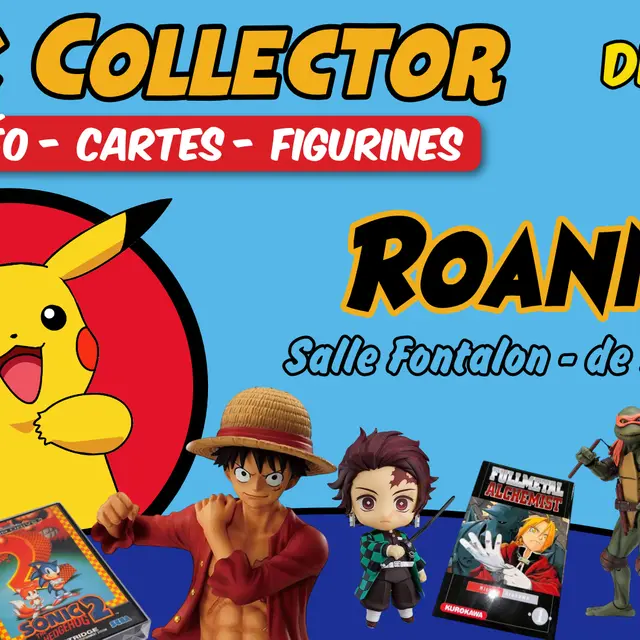 Geek collector_Roanne