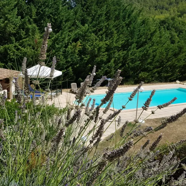 La Rabouillère_Rognes