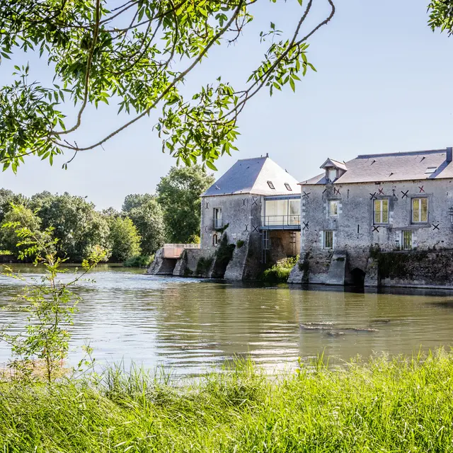 Bords du Loir à Villevêque - Rives du Loir en Anjou